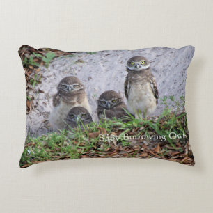 Pillow of Baby Burrowing Owls