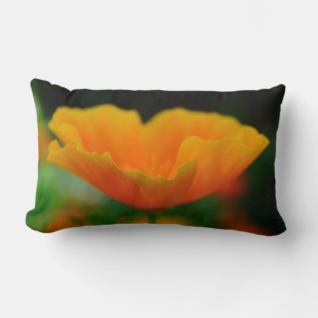 Pillow of Poppies! (Front)