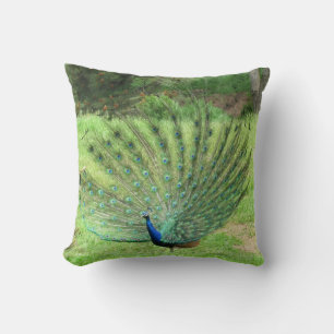 Pillow - Peacock
