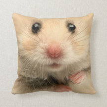 Pillow pet hamster