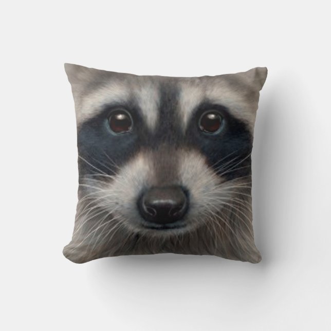 Pillow pet Racoon (Front)