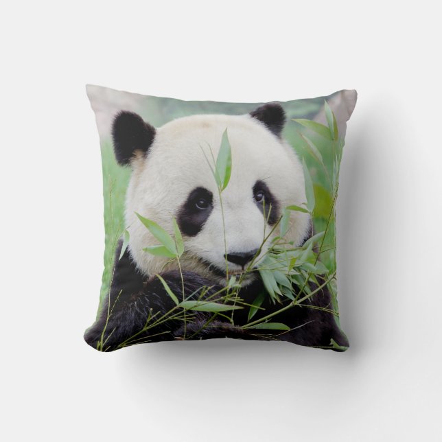 Pillow photo giant panda. (Front)
