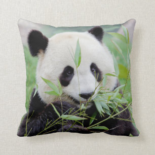 Pillow photo giant panda.
