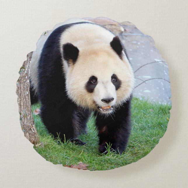 Pillow photo giant panda. (Front)