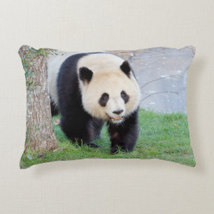 Pillow photo giant panda.