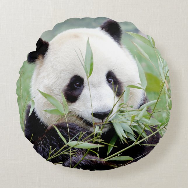 Pillow photo giant panda. (Front)