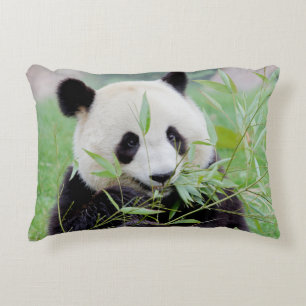 Pillow photo giant panda.