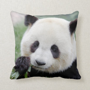 Pillow photo giant panda 1.