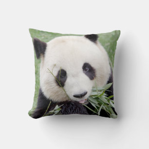 Pillow photo giant panda 3.