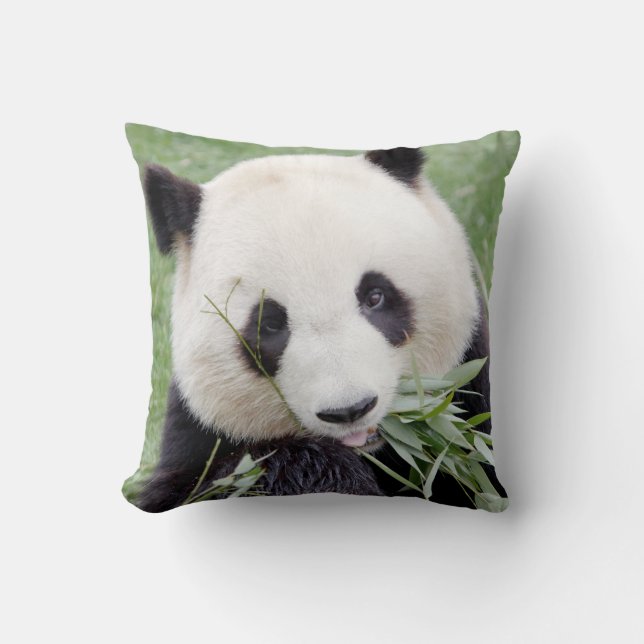 Pillow photo giant panda 3. (Front)