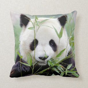 Pillow photo giant panda 4.
