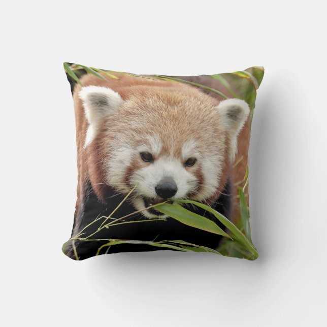 Pillow photo red panda. (Front)