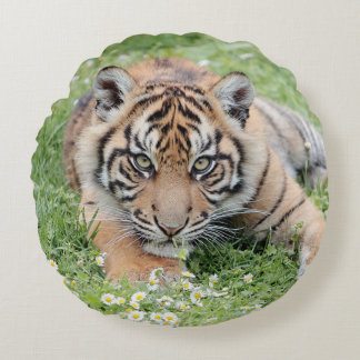 Pillow Photo tiger cat , animals 01 . round pillow