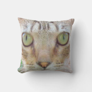 Pillow - Tabby Cat Face