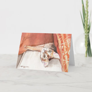 "Pillow Talk" Abyssinian Card