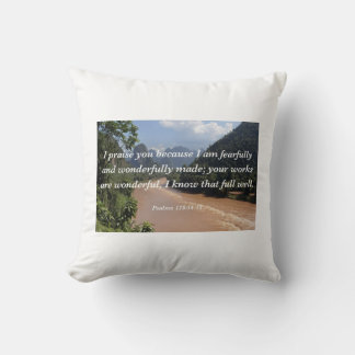 Pillow with a bible verse