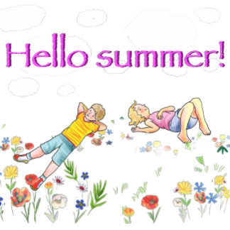 pillow with a sleeping red cat in a deck chair