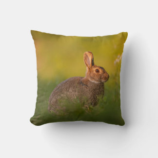 Pillow with rabbit in evening light