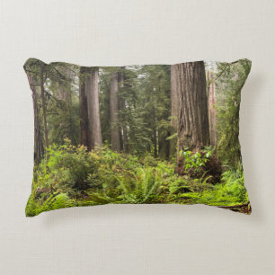 Pillow with Redwoods Trees