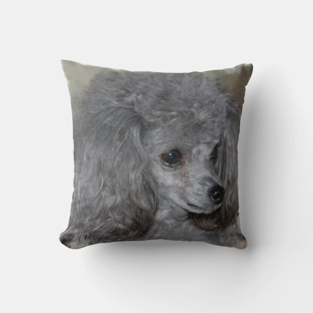 Pillows (Front)