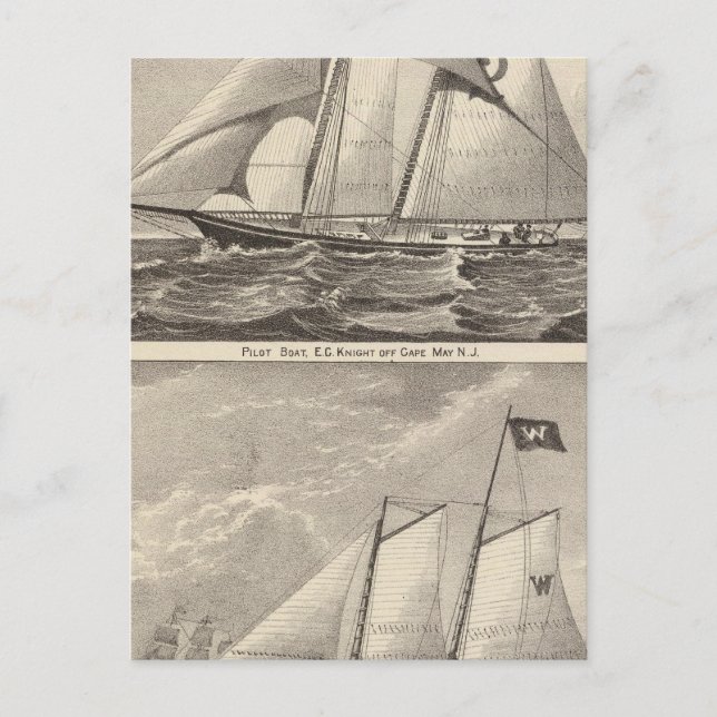 Pilot boats EG Knight and Whilldin Postcard (Front)