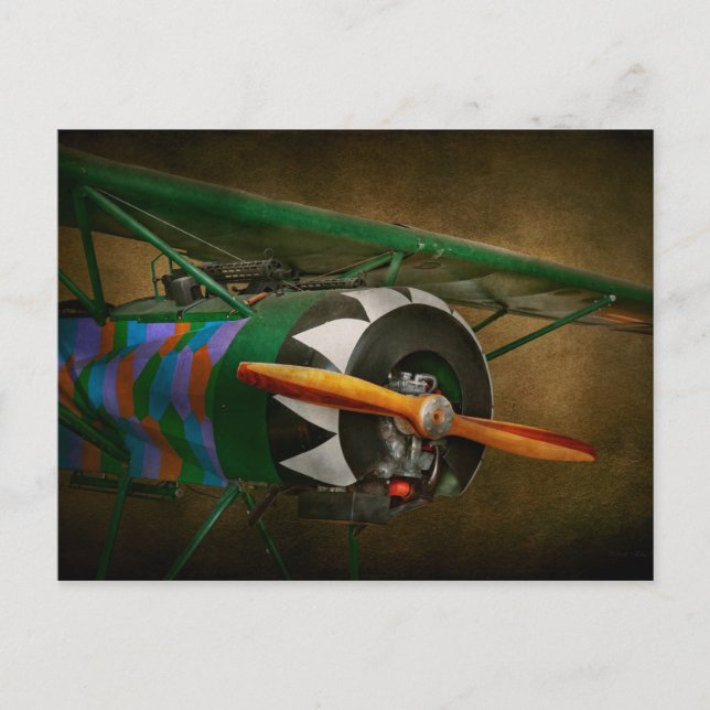 Pilot - Plane - German WW1 Fighter - Fokker D VIII Postcard (Front)