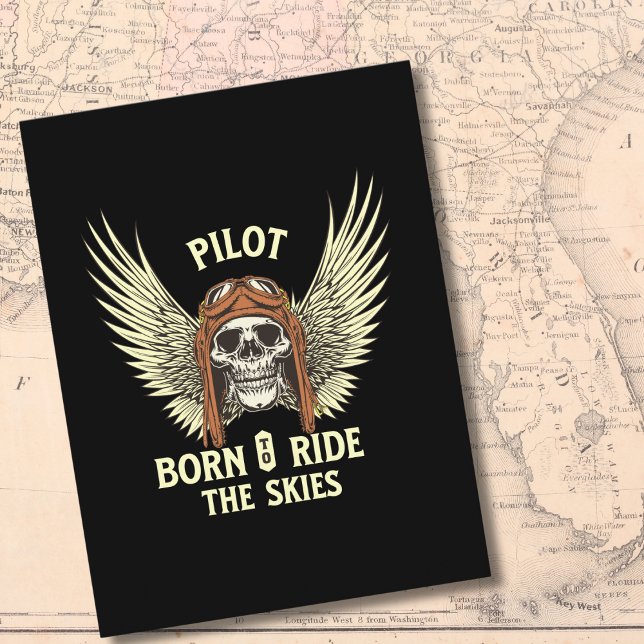 Pilot Skull Wings Born To Ride The Skies Birthday Postcard (Creator Uploaded)