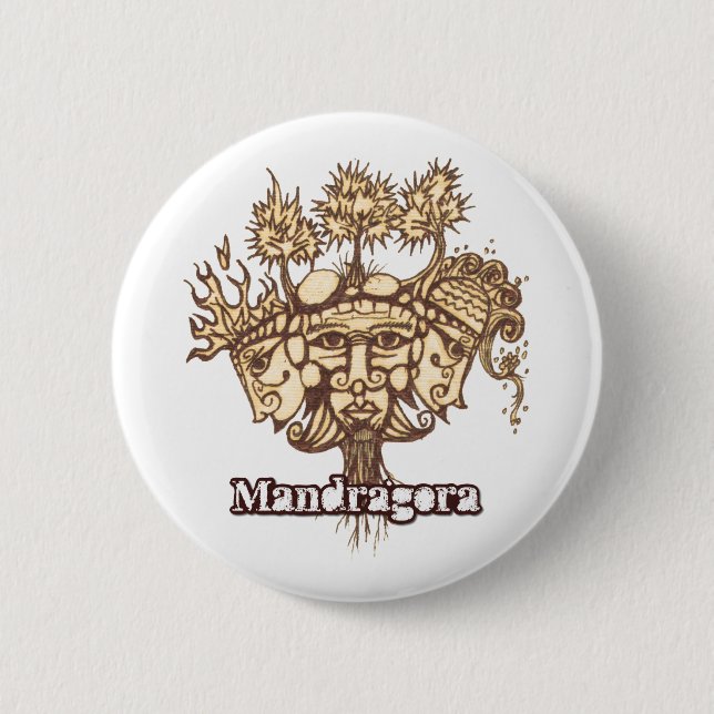 pin cd1 (Front)