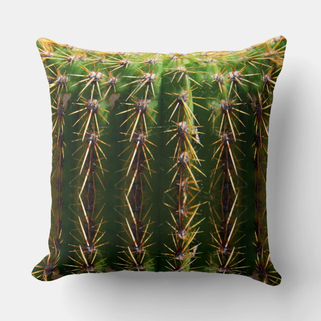 Pin Cushion Barrel Cactus (Front)