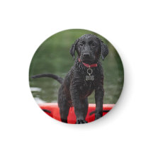 Pin or magnet with picture of dog.