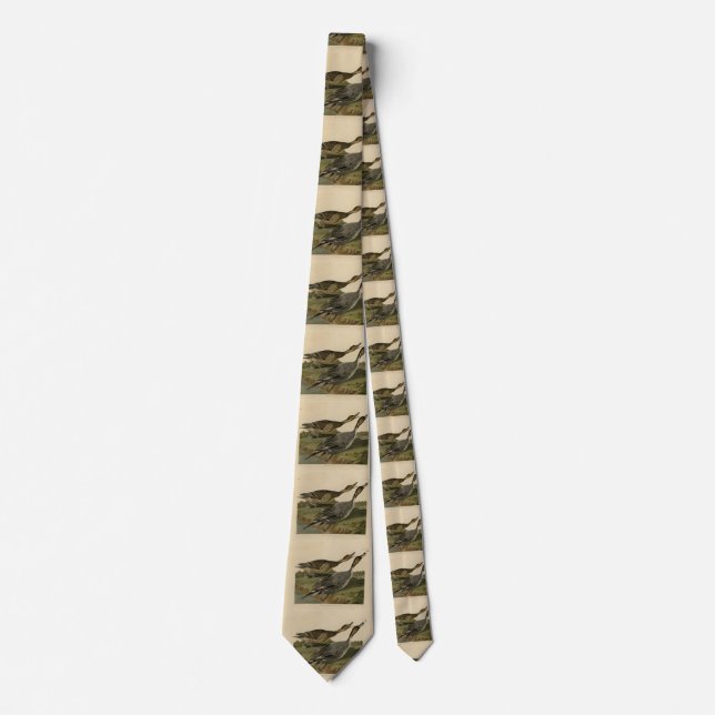 Pin-tailed Duck - from Audubon's Birds of America Tie (Front)