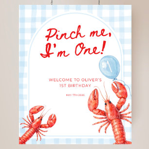 Pinch Me I'm One Boy Birthday Welcome Sign