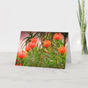 Pincushion Tango #1 Card