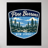 Pine barrens new jersey forest nature outdoor