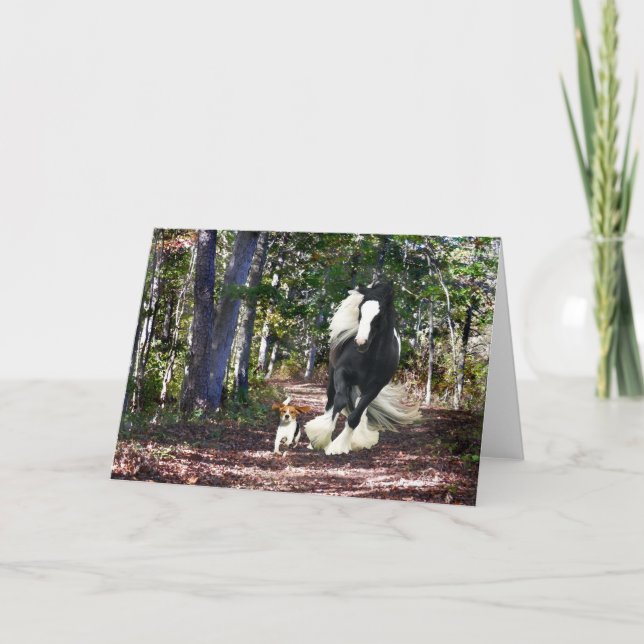 "Pine Barrens Run" Greeting Card (Front)