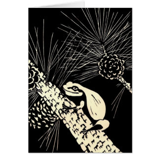 pine barrens tree frog