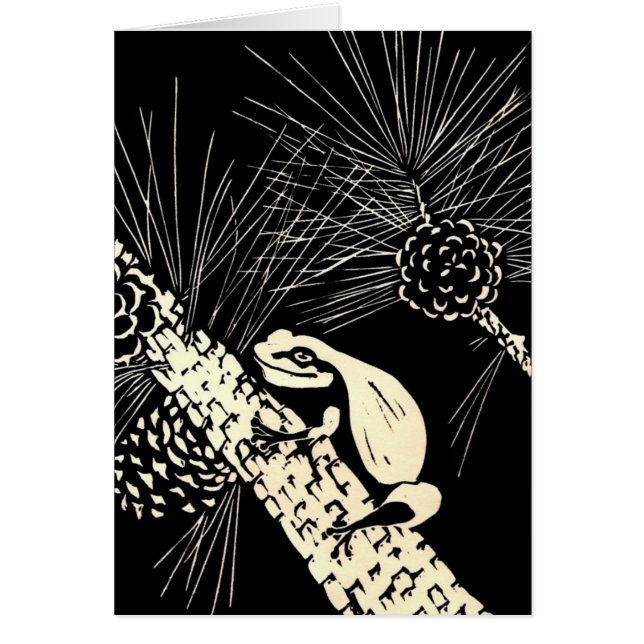 pine barrens tree frog (Front)