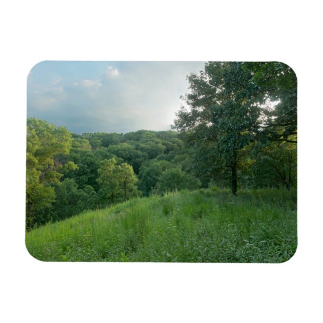 Pine Bend Bluff Overlooking Valley Woodlands Magnet (Horizontal)