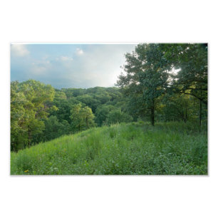 Pine Bend Bluff Overlooking Valley Woodlands Photo Print