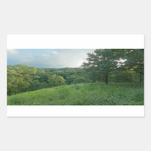 Pine Bend Bluff Overlooking Valley Woodlands Rectangular Sticker