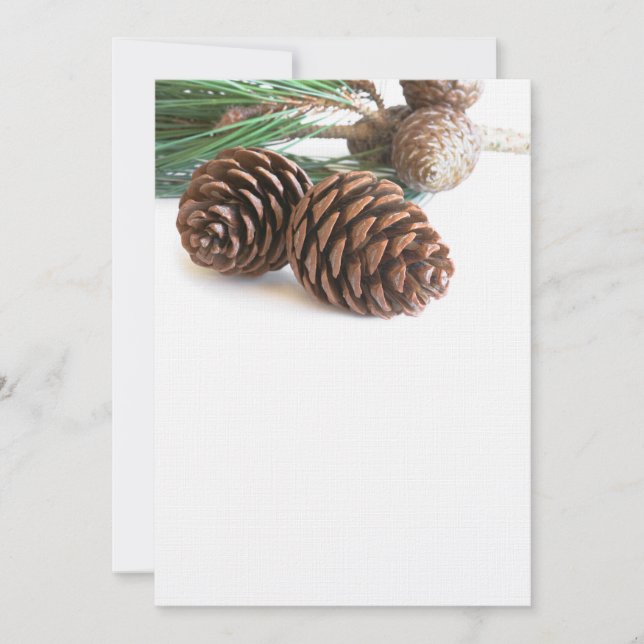 Pine branch and cones (Front)