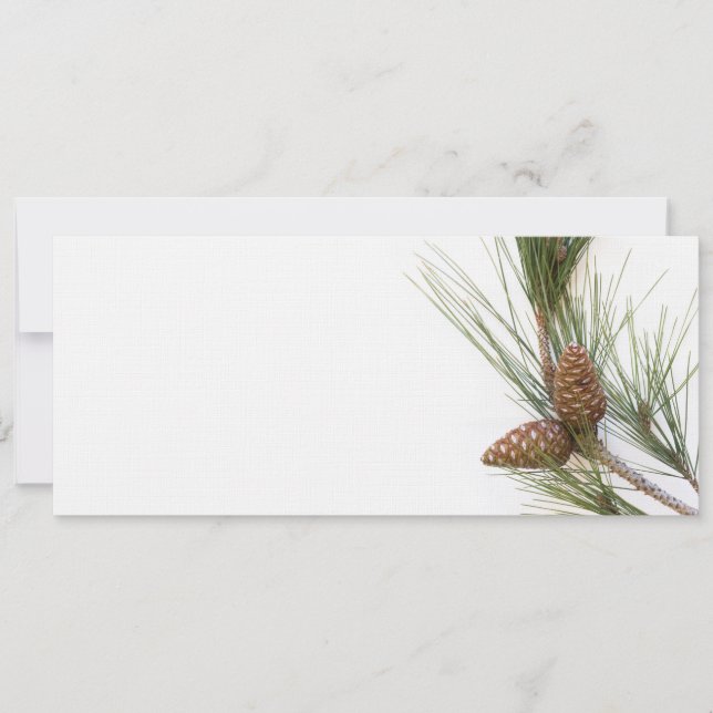 Pine branch and cones (Front)