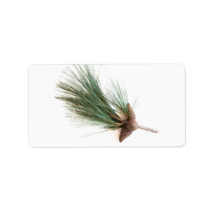 Pine branch and cones label