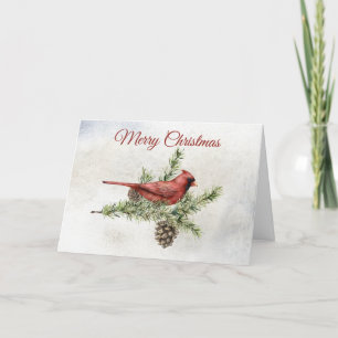 Pine Branches and a Red Cardinal Holiday Card