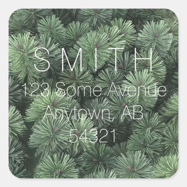 Pine Branches Evergreen Fir Tree Needles Winter Square Sticker (Front)