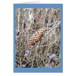 Pine Cone and Flowers in the Grass