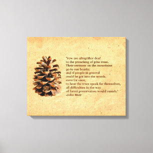 Pine Cone And John Muir Quote Canvas Print