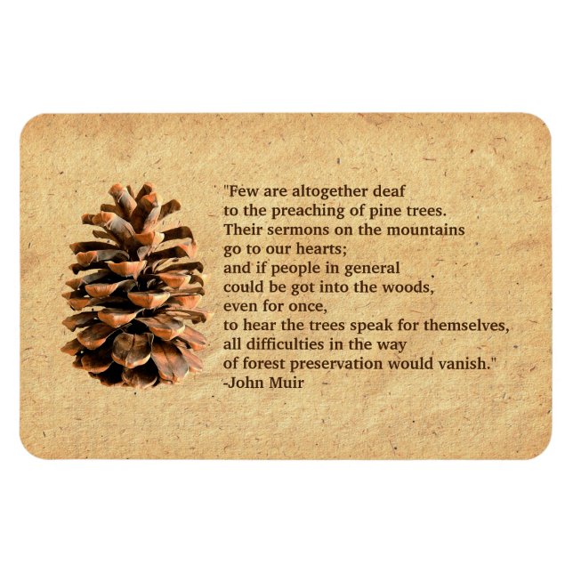 Pine Cone And John Muir Quote Magnet (Horizontal)