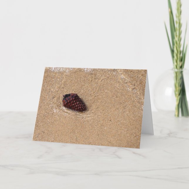 Pine Cone at Lake Tahoe Card <Blank Inside> (Front)