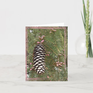 Pine Cone & Berries Holiday Card